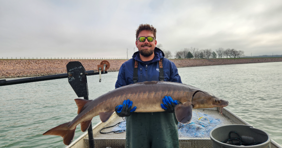 Blake Logan, a fisheries biologist with the Nebraska Game and Parks Commission’s Missouri River Program, holds a rare lake sturgeon after it was captured from the Missouri River at Gavins Point Dam. (Nebraska Game and Parks Commission)